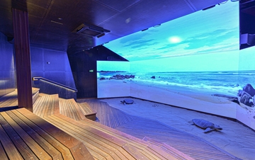 Tiered seating with huge screen with turtles on beach playing