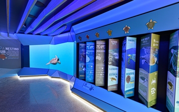 Mon Repos Turtle Centre gallery image 6