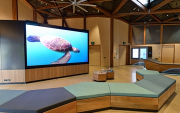 Mon Repos Turtle Centre gallery image 8